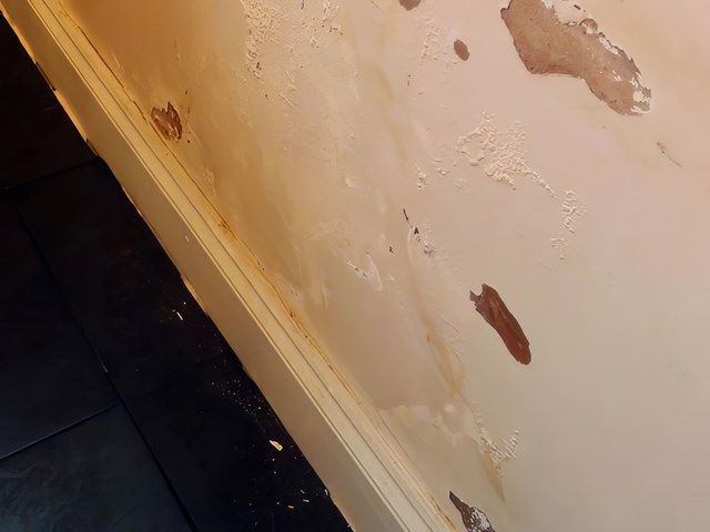 Rising Damp
