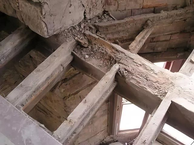 images/dry-rot/slider/dry-rot-3-kireth-ai.jpeg